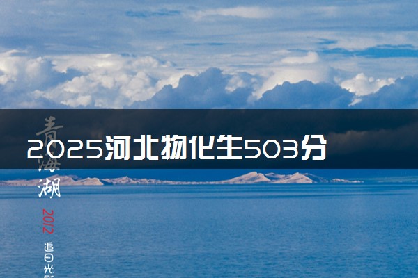 2025河北物化生503分左右能上什么大学 可以报考的院校名单