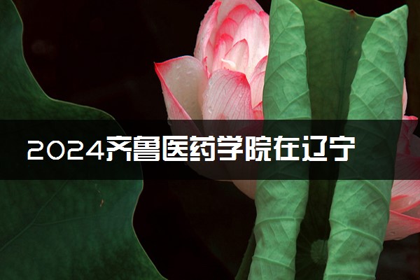2024齐鲁医药学院在辽宁录取分数线 各专业分数及位次