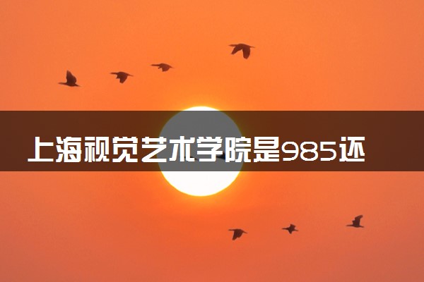 上海视觉艺术学院是985还是211 含金量怎么样