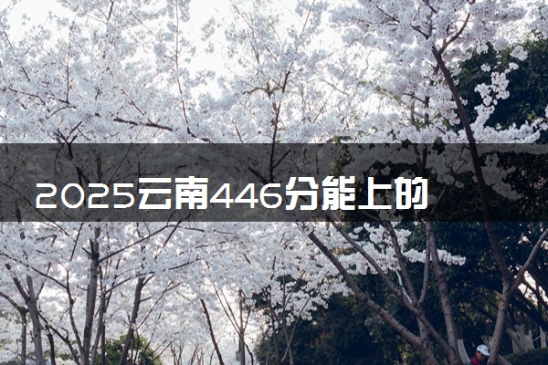 2025云南446分能上的大学有哪些 可以报考院校名单