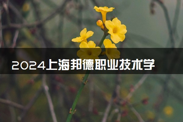 2024上海邦德职业技术学院在河北录取分数线 各专业分数及位次