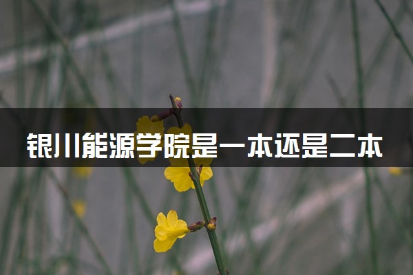 银川能源学院是一本还是二本 算好大学吗
