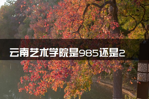 云南艺术学院是985还是211 含金量怎么样