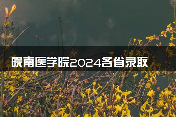 皖南医学院2024各省录取分数线及最低位次是多少