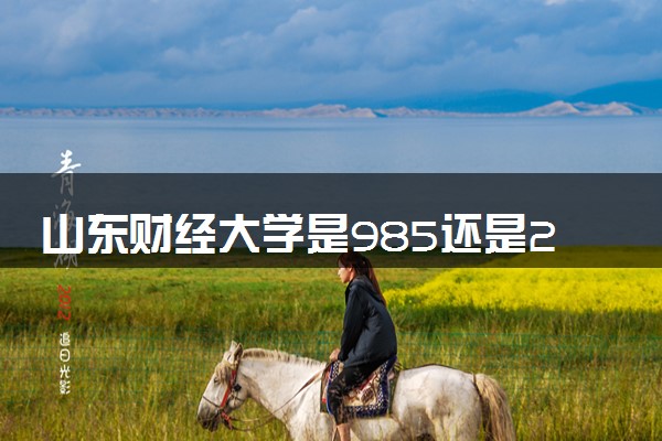 山东财经大学是985还是211 含金量怎么样