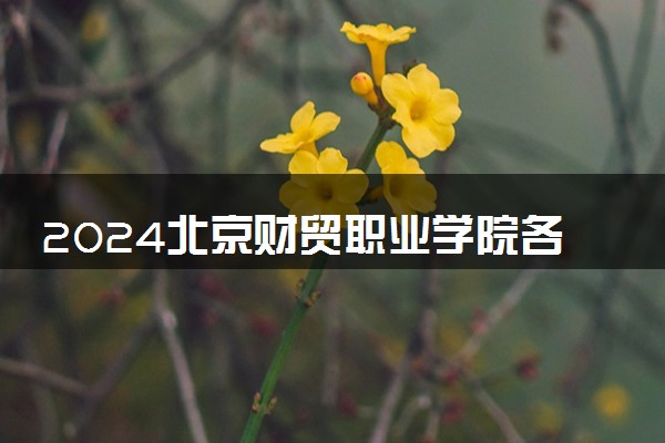 2024北京财贸职业学院各省录取分数线是多少 最低分及位次