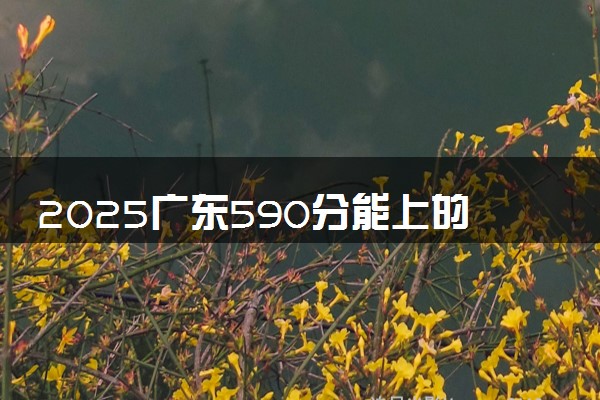 2025广东590分能上的大学有哪些 可以报考院校名单
