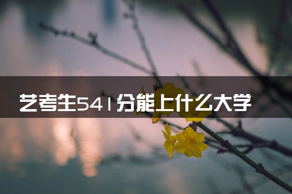 艺考生541分能上什么大学（2025考生参考）