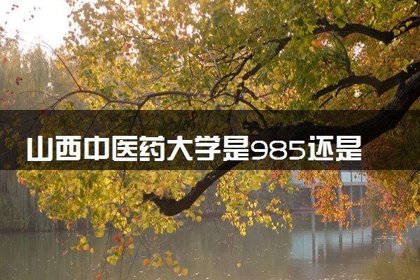 山西中医药大学是985还是211 含金量怎么样