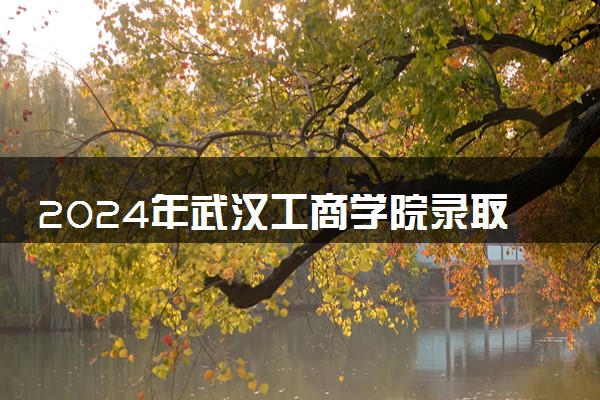2024年武汉工商学院录取分数线是多少 各省最低分数线及位次