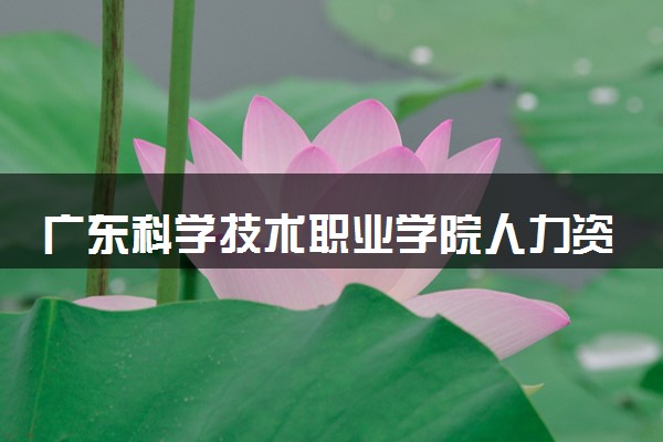 广东科学技术职业学院人力资源管理专业怎么样 录取分数线多少