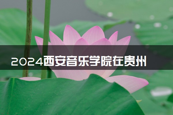 2024西安音乐学院在贵州录取分数线 各专业分数及位次