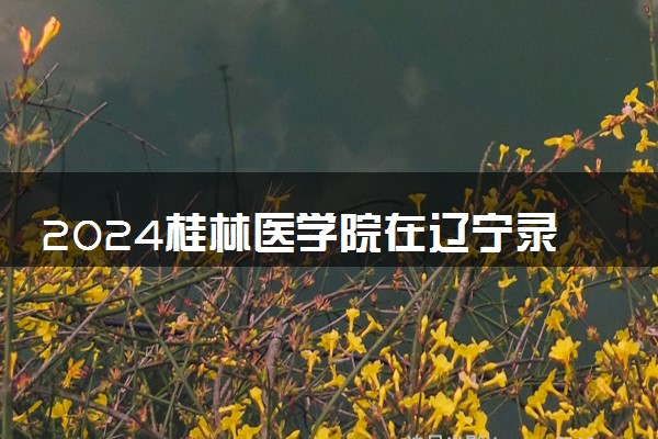 2024桂林医学院在辽宁录取分数线 各专业分数及位次