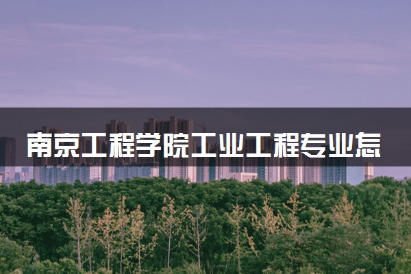南京工程学院工业工程专业怎么样 录取分数线多少