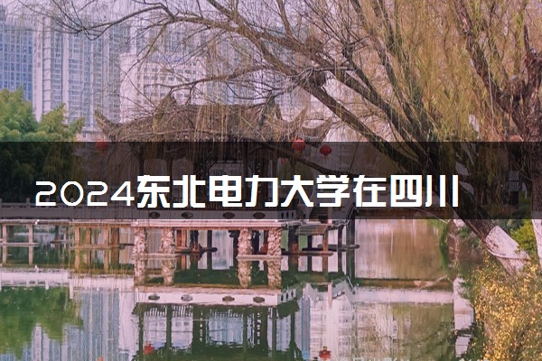 2024东北电力大学在四川录取分数线 各专业分数及位次