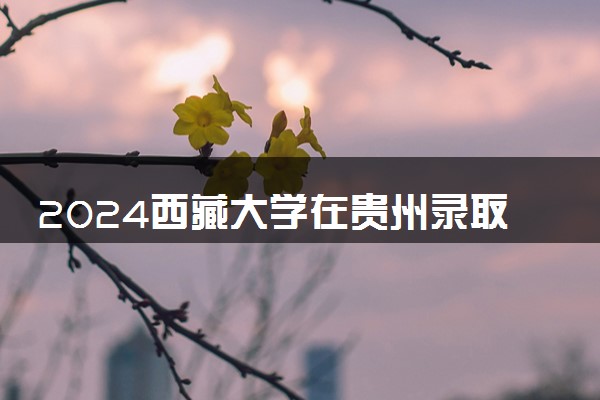 2024西藏大学在贵州录取分数线 各专业分数及位次
