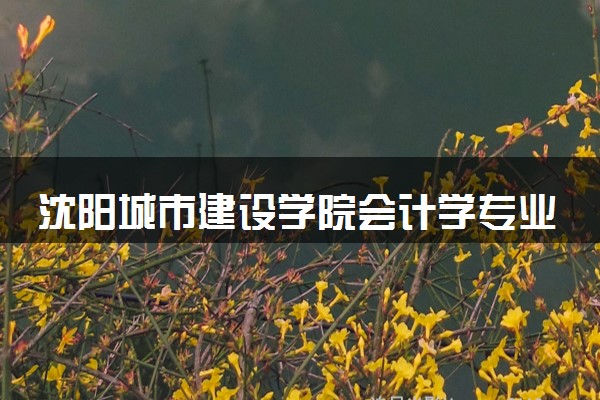 沈阳城市建设学院会计学专业怎么样 录取分数线多少