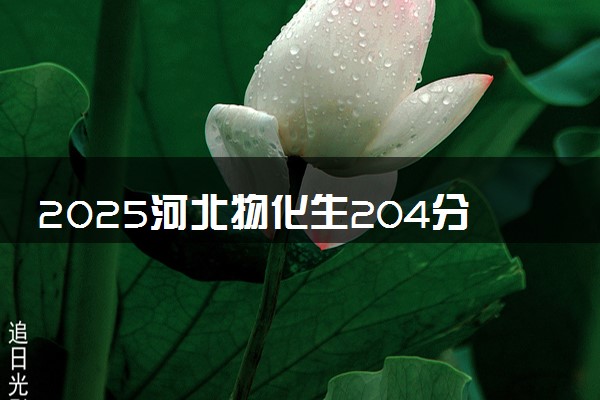 2025河北物化生204分左右能上什么大学 可以报考的院校名单