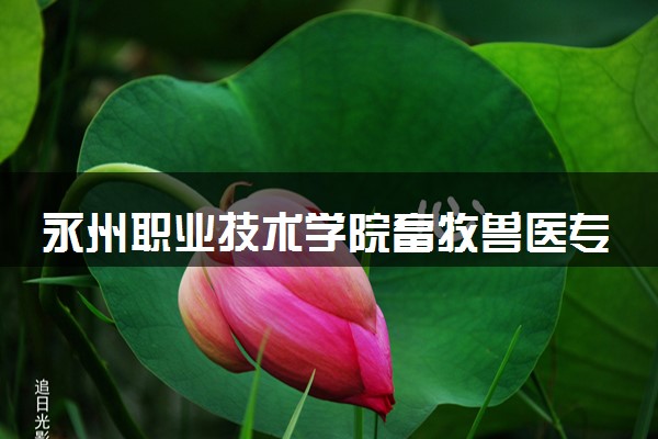 永州职业技术学院畜牧兽医专业怎么样 录取分数线多少