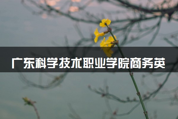 广东科学技术职业学院商务英语专业怎么样 录取分数线多少