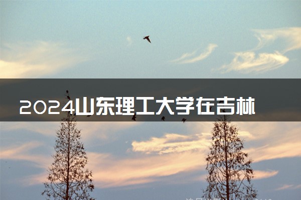 2024山东理工大学在吉林录取分数线 各专业分数及位次