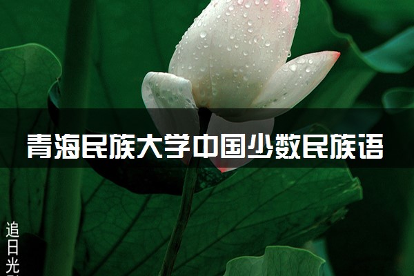 青海民族大学中国少数民族语言文学专业怎么样 录取分数线多少
