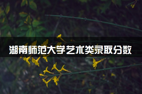 湖南师范大学艺术类录取分数线是多少 各省分数整理