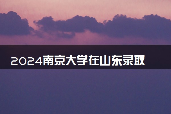 2024南京大学在山东录取分数线 各专业分数及位次