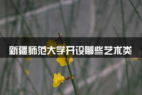 新疆师范大学开设哪些艺术类专业 什么专业前景好
