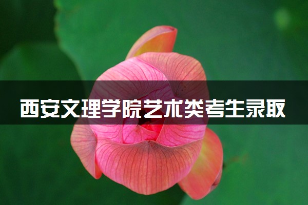 西安文理学院艺术类考生录取规则是怎样的 有哪些要求