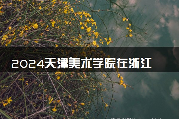 2024天津美术学院在浙江录取分数线 各专业分数及位次