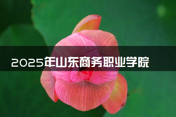 2025年山东商务职业学院单招综评招生计划及专业