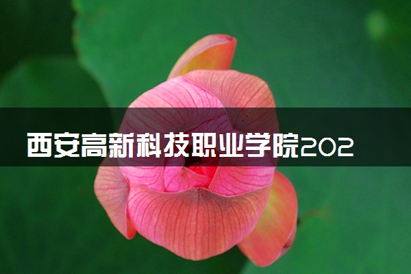 西安高新科技职业学院2024各省录取分数线及最低位次是多少
