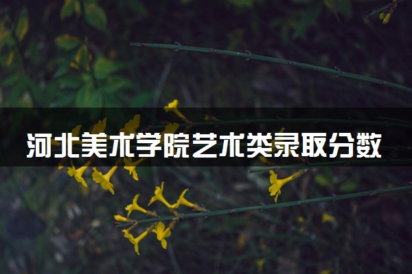 河北美术学院艺术类录取分数线是多少 各省分数整理