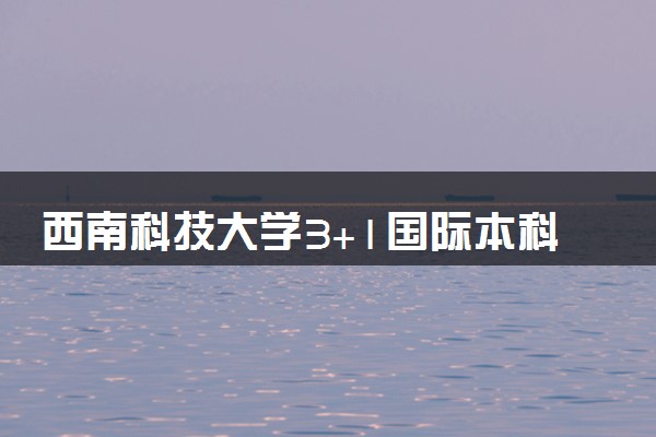 西南科技大学3+1国际本科收费标准 学费多少钱