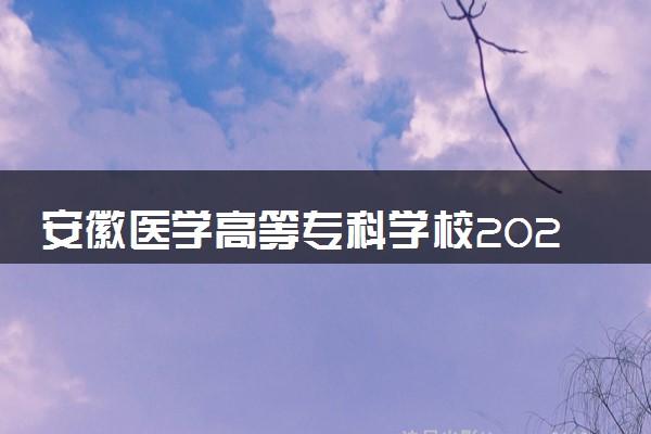 安徽医学高等专科学校2024各省录取分数线及最低位次是多少