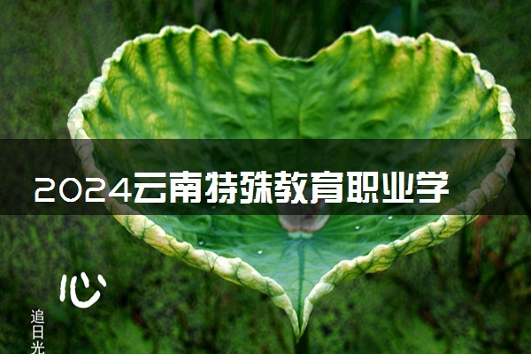 2024云南特殊教育职业学院各省录取分数线是多少 最低分及位次