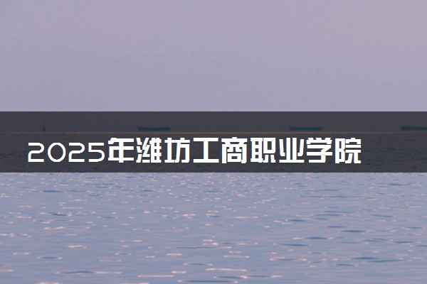 2025年潍坊工商职业学院单招综评招生计划及专业