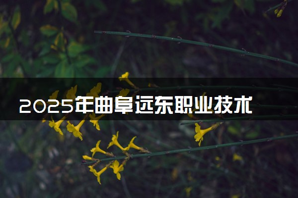 2025年曲阜远东职业技术学院单招综评招生计划及专业