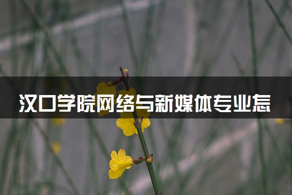 汉口学院网络与新媒体专业怎么样 录取分数线多少