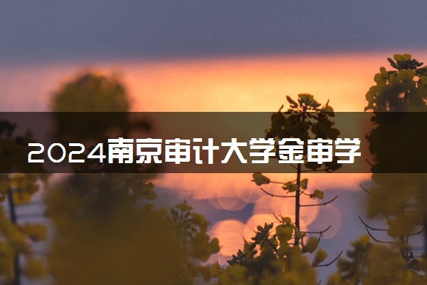 2024南京审计大学金审学院在内蒙古录取分数线 各专业分数及位次