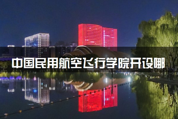 中国民用航空飞行学院开设哪些艺术类专业 什么专业前景好