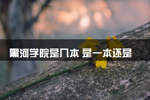 黑河学院是几本 是一本还是二本大学
