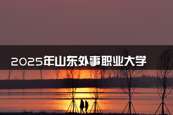 2025年山东外事职业大学单招综评招生计划及专业