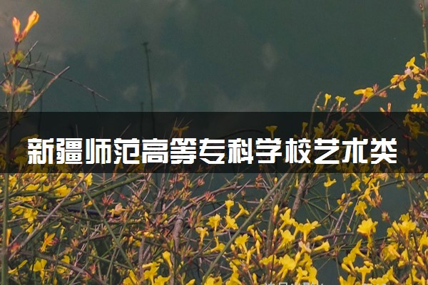 新疆师范高等专科学校艺术类考生录取规则是怎样的 有哪些要求