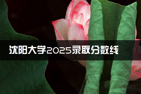 沈阳大学2025录取分数线整理 最低多少分可以考上