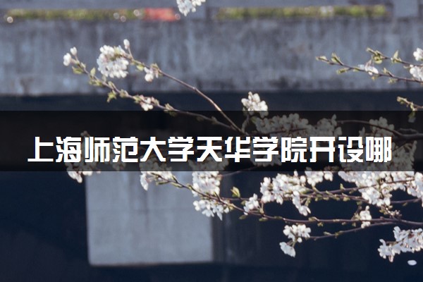 上海师范大学天华学院开设哪些艺术类专业 什么专业前景好