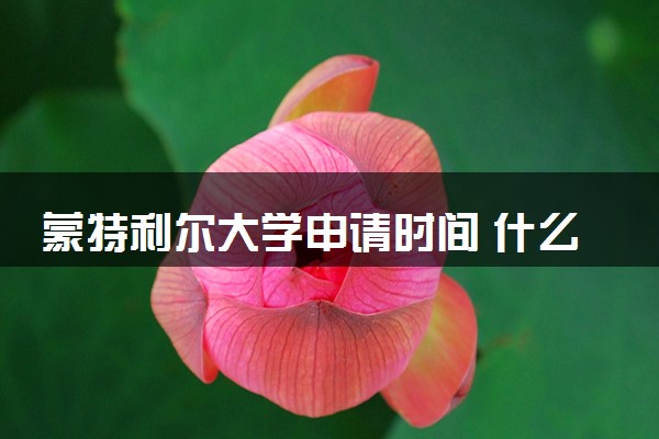 蒙特利尔大学申请时间 什么时候截止