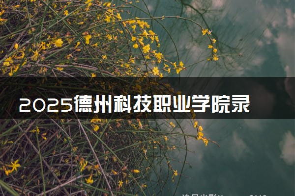 2025德州科技职业学院录取分数线是多少 各省最低分数线汇总