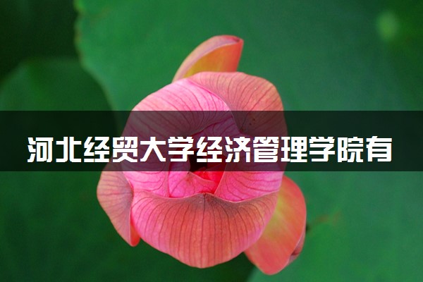 河北经贸大学经济管理学院有哪些热门专业 推荐的王牌专业